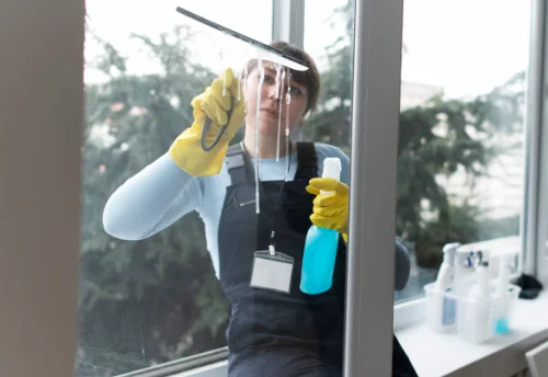 Nettoyage de vitres intérieures et extérieures à Saint-Pierre-du-Perray
